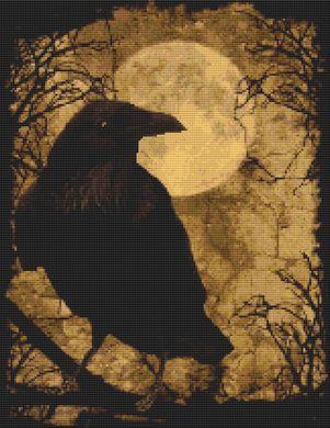 My Raven